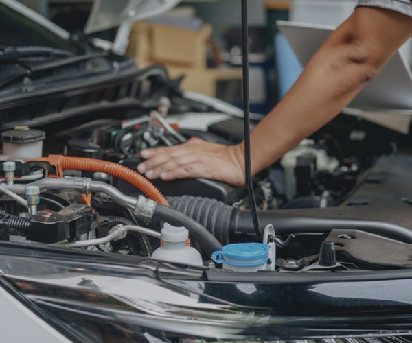 Serviço de qualidade